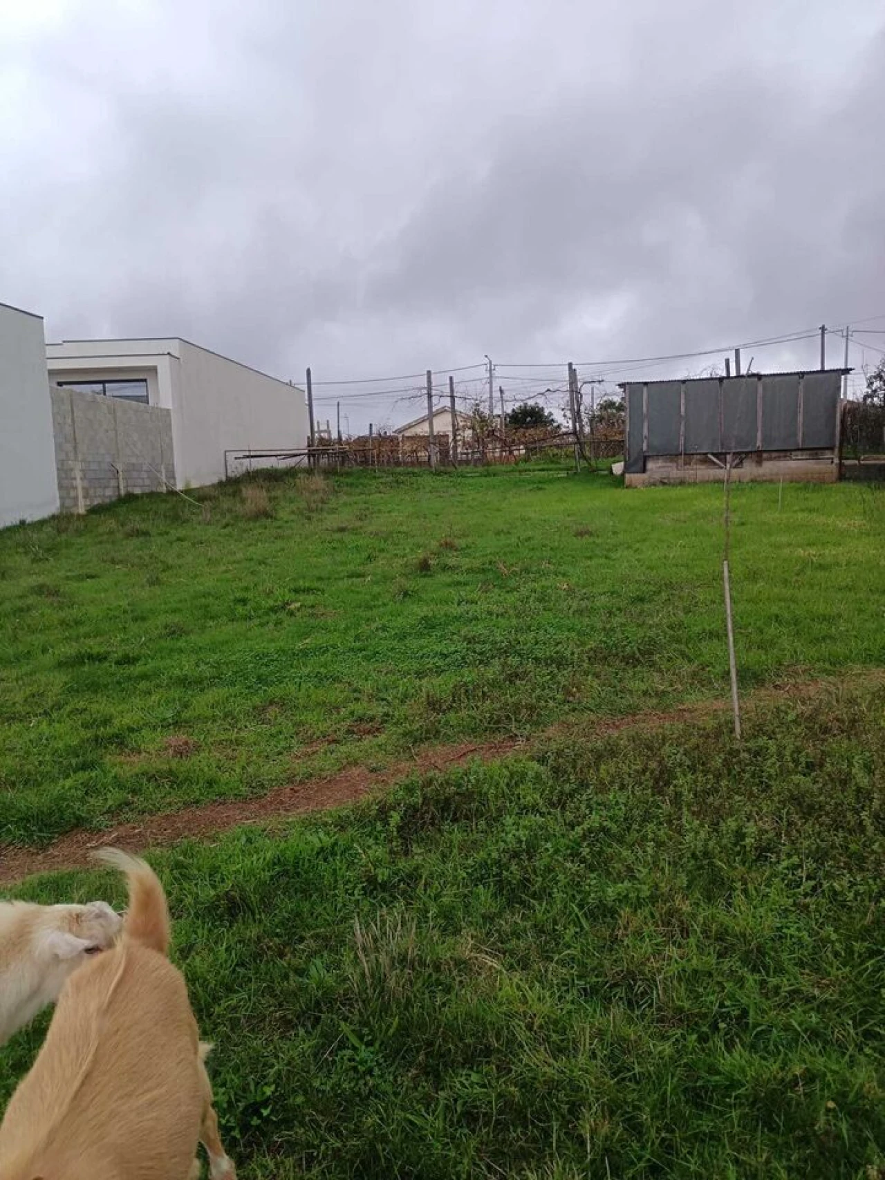 Terreno para Venda em Albergaria-A-Velha e Valmaior Foto 3