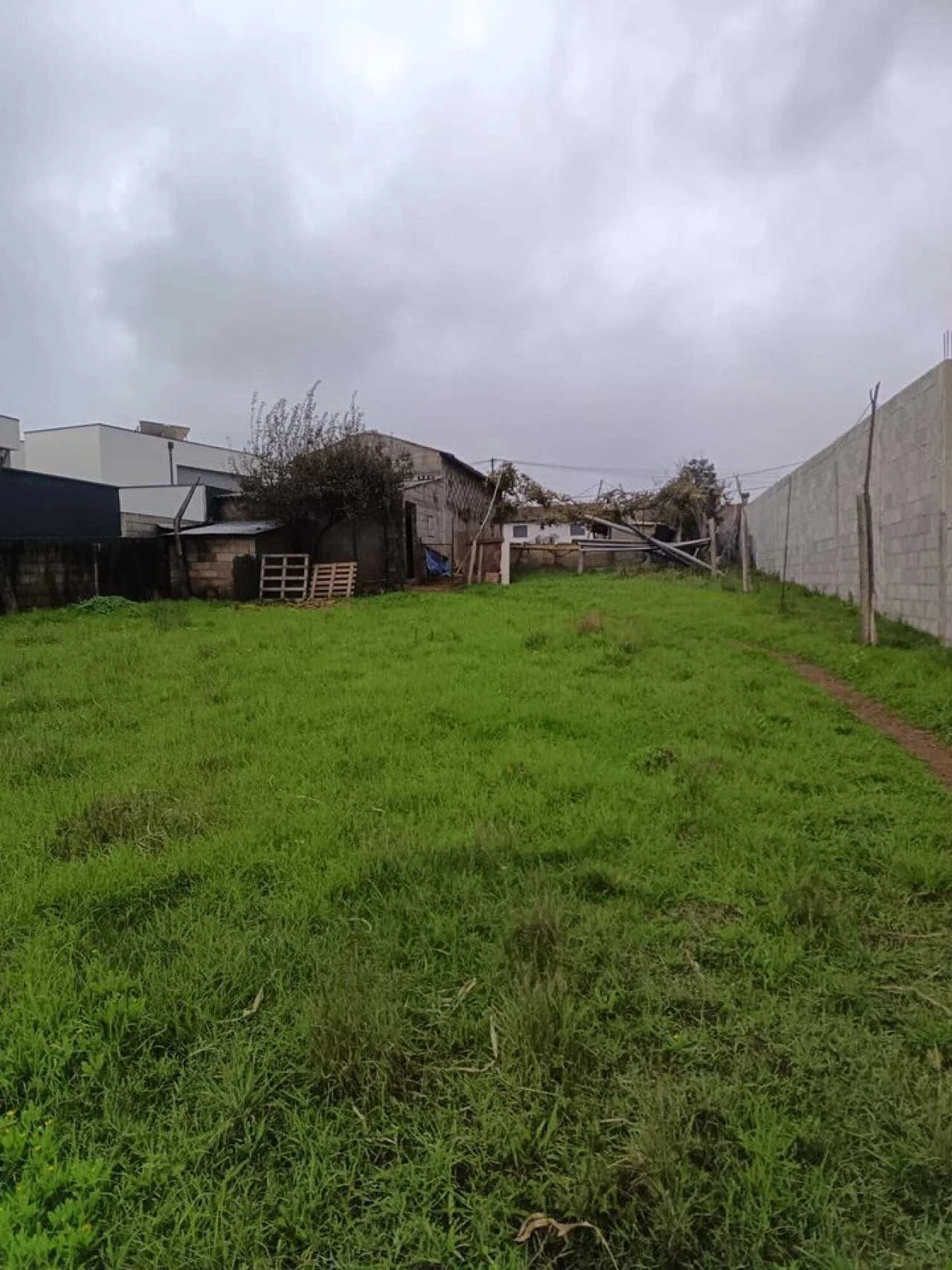 Terreno para Venda em Albergaria-A-Velha e Valmaior Foto 3