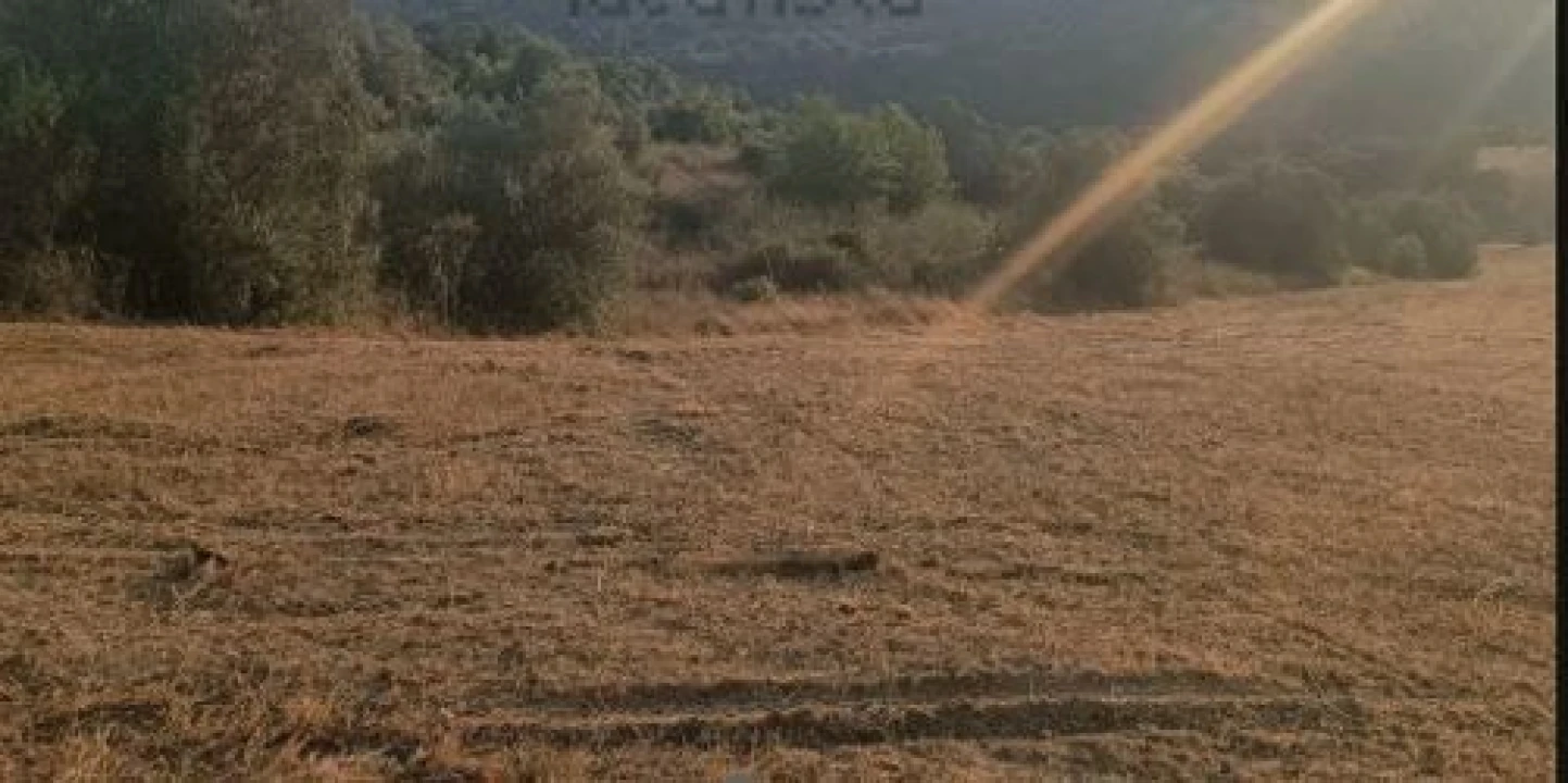 Terreno para Venda em Moçarria Foto 5