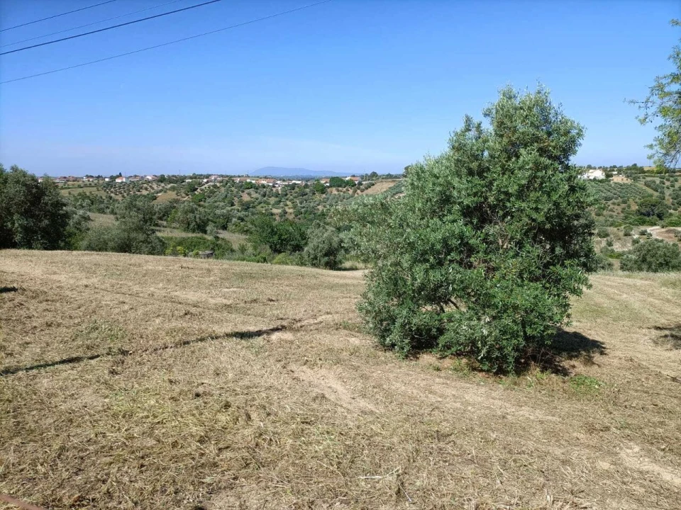 Terreno para Venda em Moçarria Foto 6