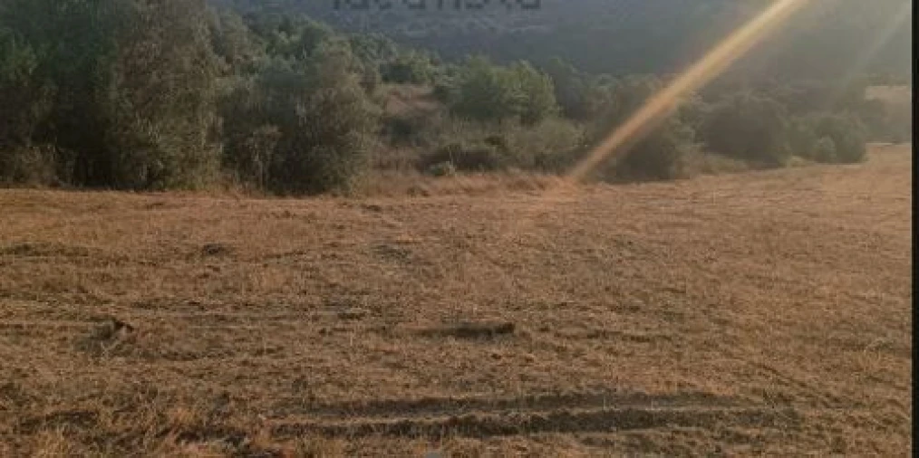 Terreno para Venda em Moçarria Foto 5