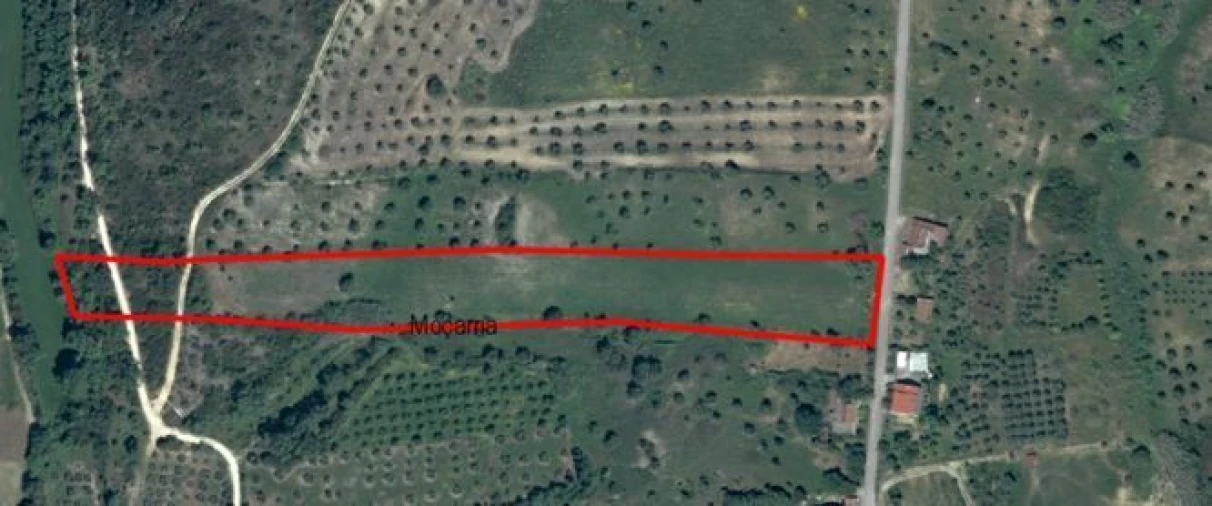 Terreno para Venda em Moçarria Foto 9