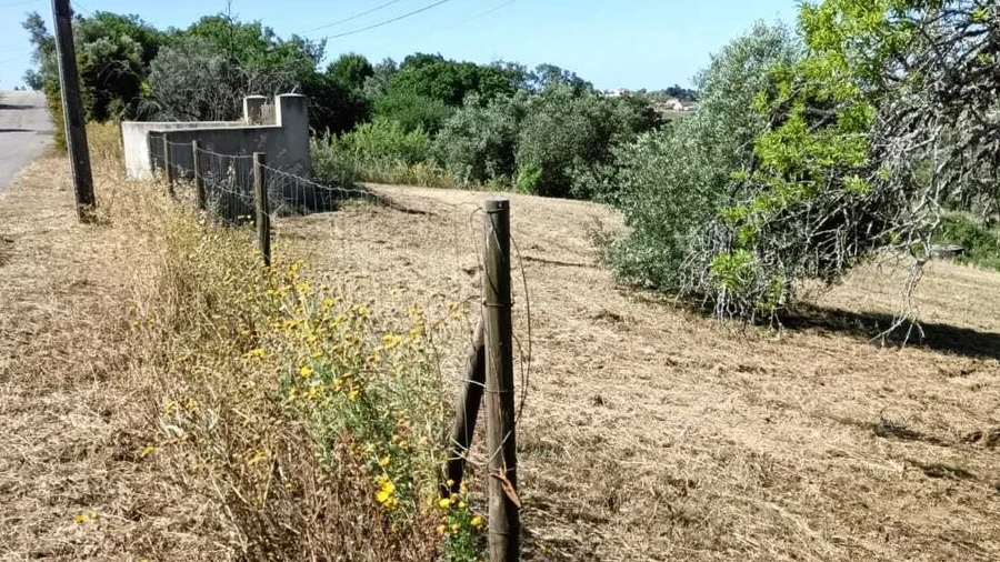 Terreno para Venda em Moçarria