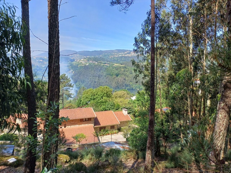 Terreno para Venda em Alpendorada, Várzea e Torrão Foto 2