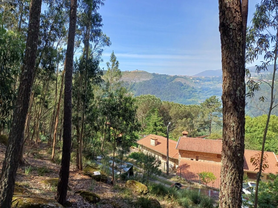Terreno para Venda em Alpendorada, Várzea e Torrão Foto 3