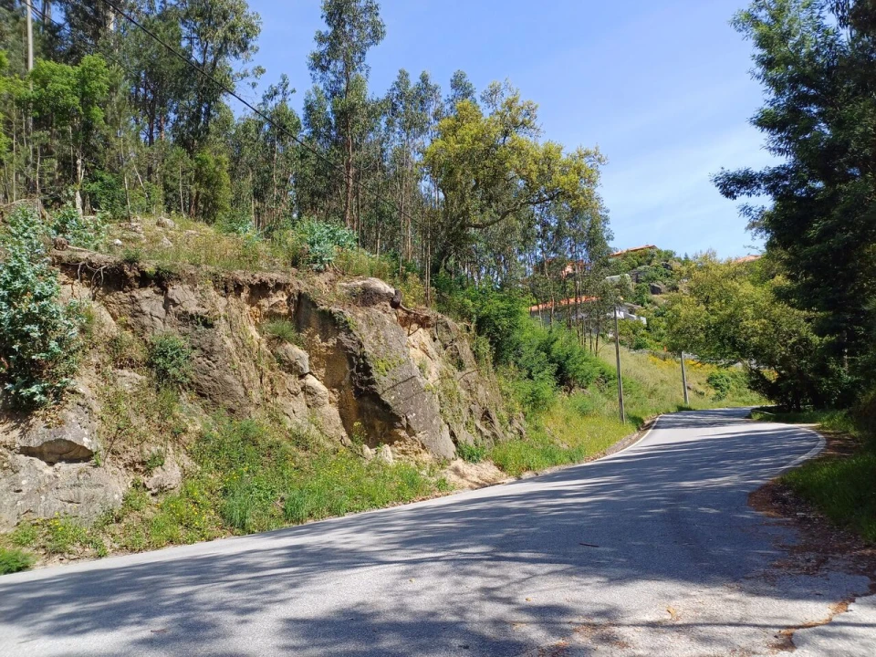 Terreno para Venda em Alpendorada, Várzea e Torrão Foto 4