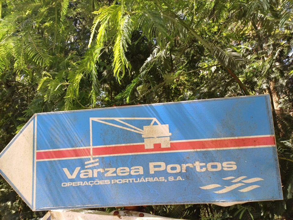 Terreno para Venda em Alpendorada, Várzea e Torrão Foto 5