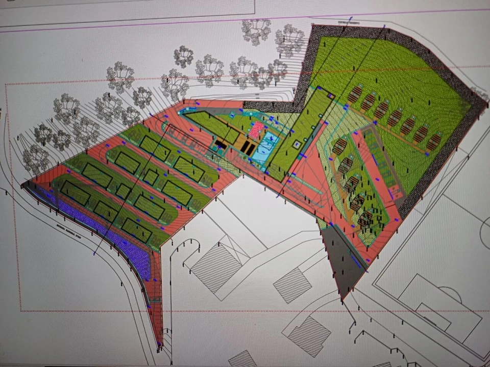 Terreno para Venda em Alpendorada, Várzea e Torrão Foto 7