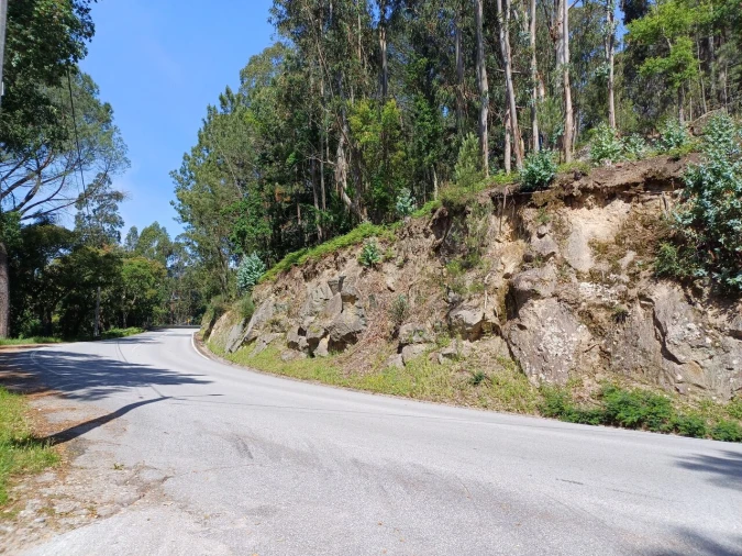 Terreno para Venda em Alpendorada, Várzea e Torrão Foto 6