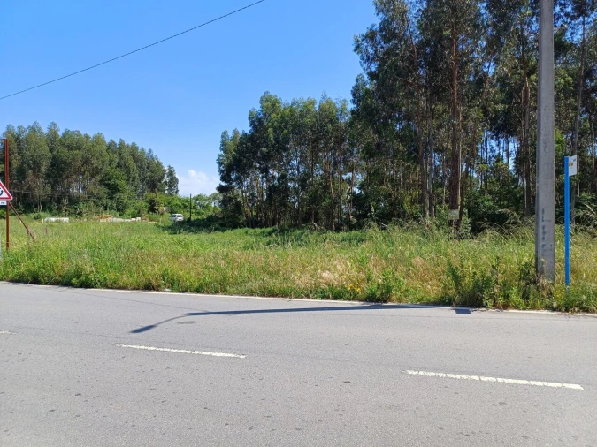 Terreno para Venda em Rio Tinto Foto 3