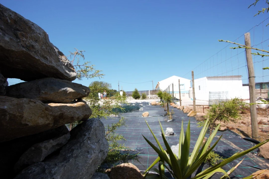 Moradia T1 para Venda em Atouguia da Baleia Foto 15