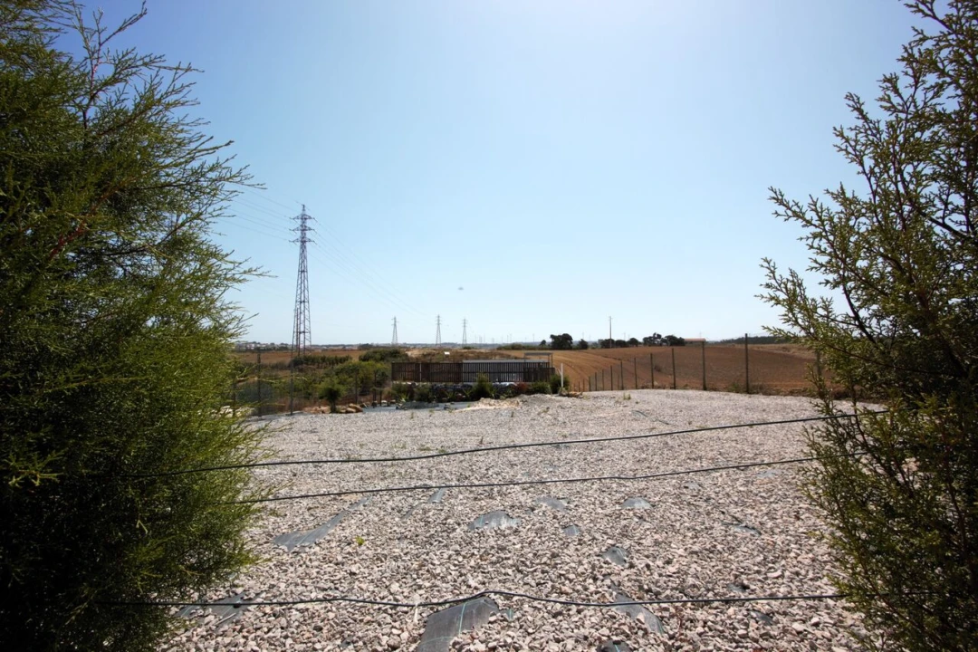 Moradia T1 para Venda em Atouguia da Baleia Foto 24