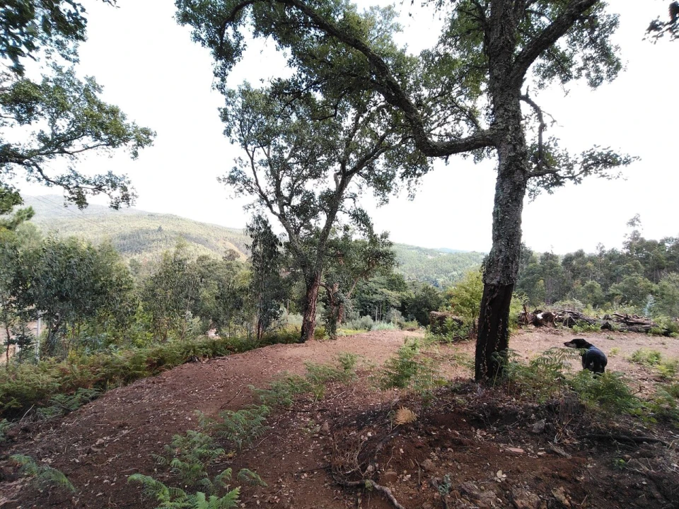 Terreno para Venda em Maçãs de D. Maria Foto 3