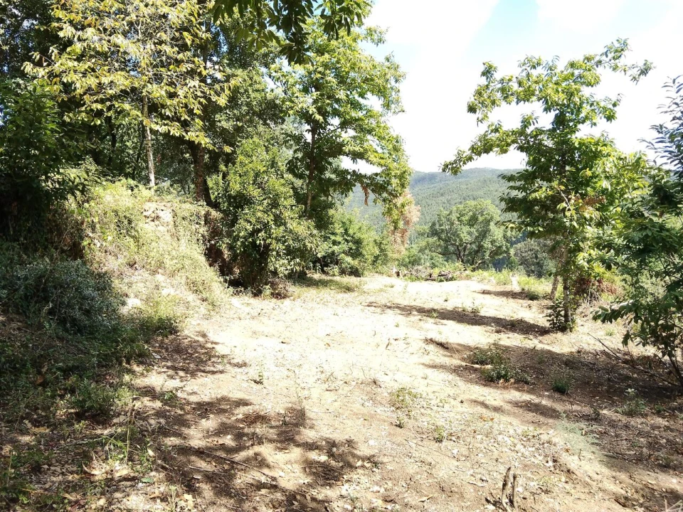 Terreno para Venda em Maçãs de D. Maria Foto 14