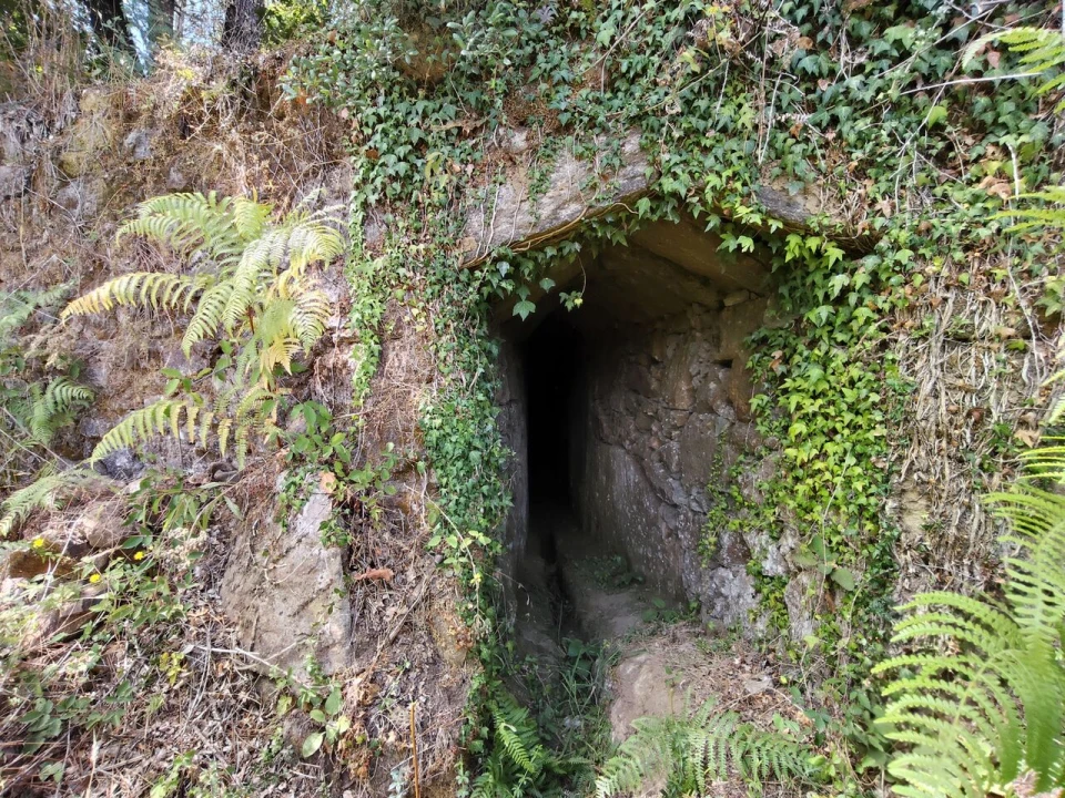 Terreno para Venda em Maçãs de D. Maria Foto 19