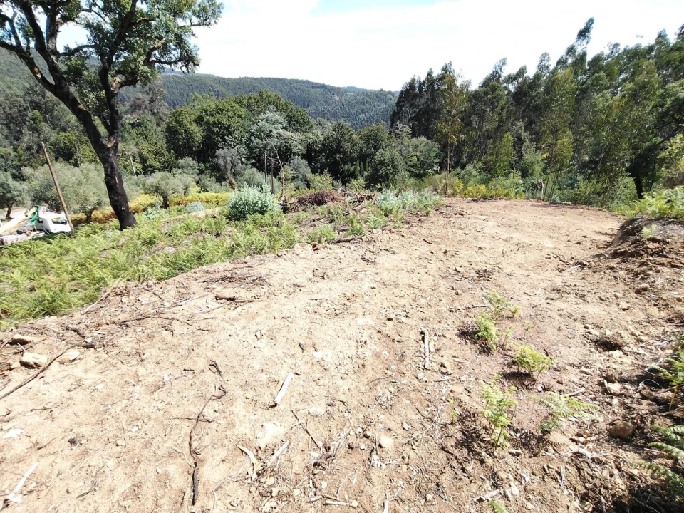 Terreno para Venda em Maçãs de D. Maria Foto 24