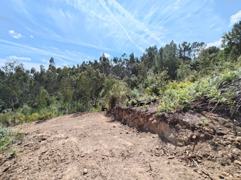 Terreno para Venda em Maçãs de D. Maria Foto 25
