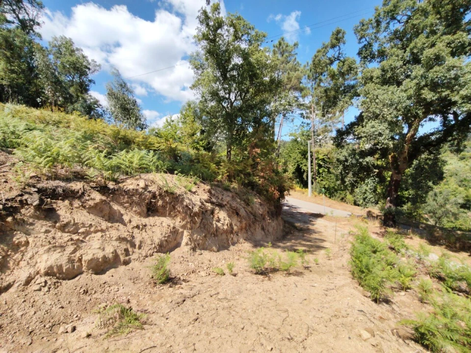 Terreno para Venda em Maçãs de D. Maria Foto 29