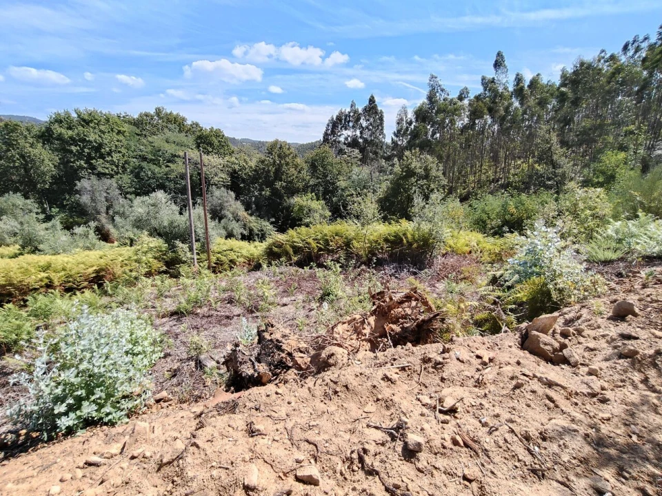 Terreno para Venda em Maçãs de D. Maria Foto 30