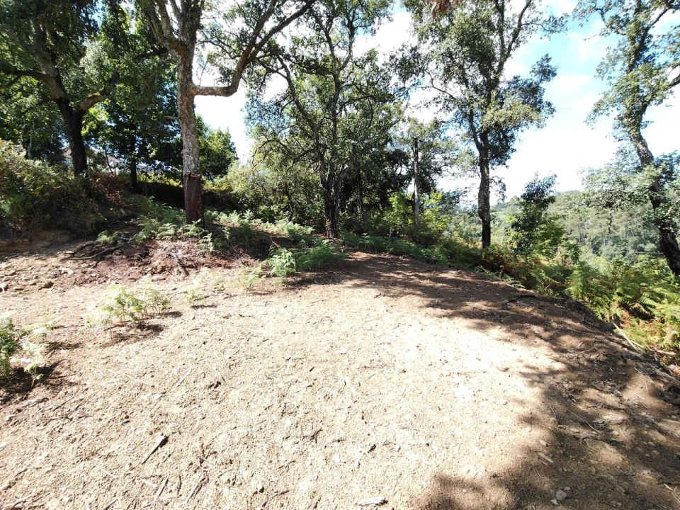 Terreno para Venda em Maçãs de D. Maria Foto 36