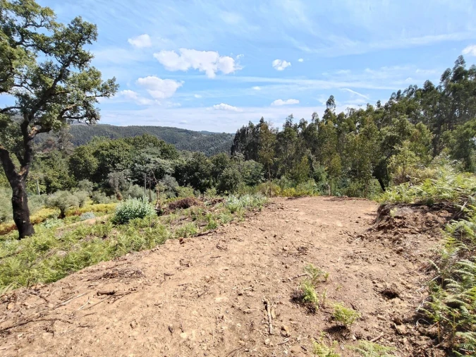 Terreno para Venda em Maçãs de D. Maria