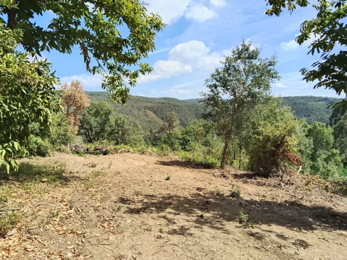 Terreno para Venda em Maçãs de D. Maria Foto 2
