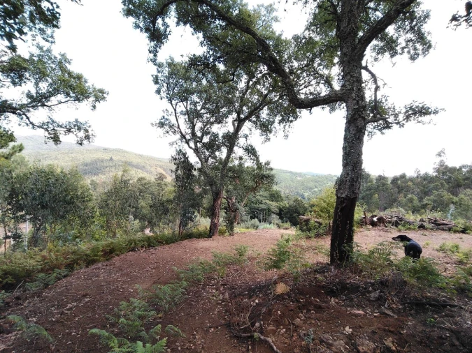 Terreno para Venda em Maçãs de D. Maria Foto 3
