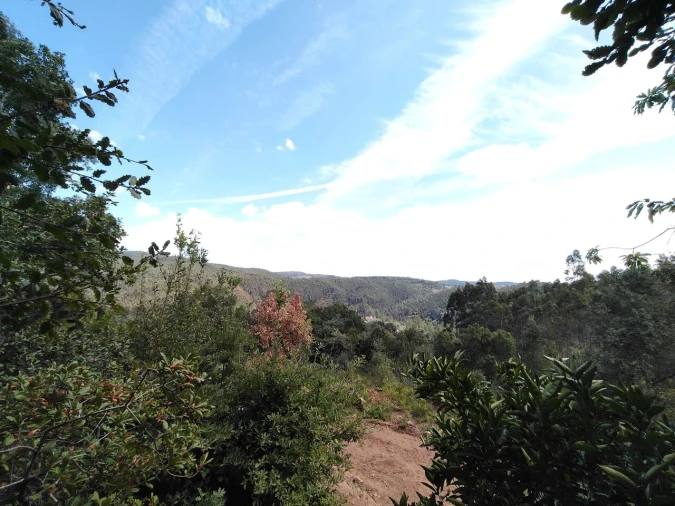 Terreno para Venda em Maçãs de D. Maria Foto 4
