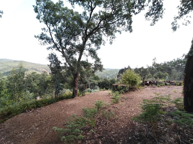 Terreno para Venda em Maçãs de D. Maria Foto 5