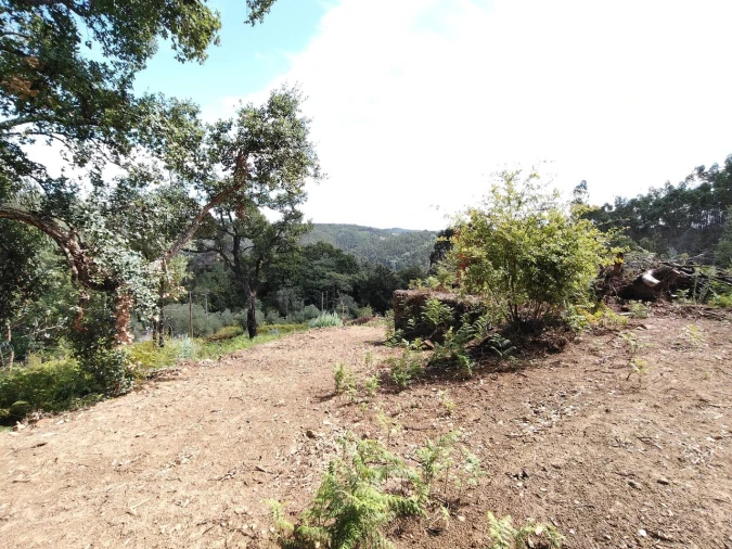 Terreno para Venda em Maçãs de D. Maria Foto 6