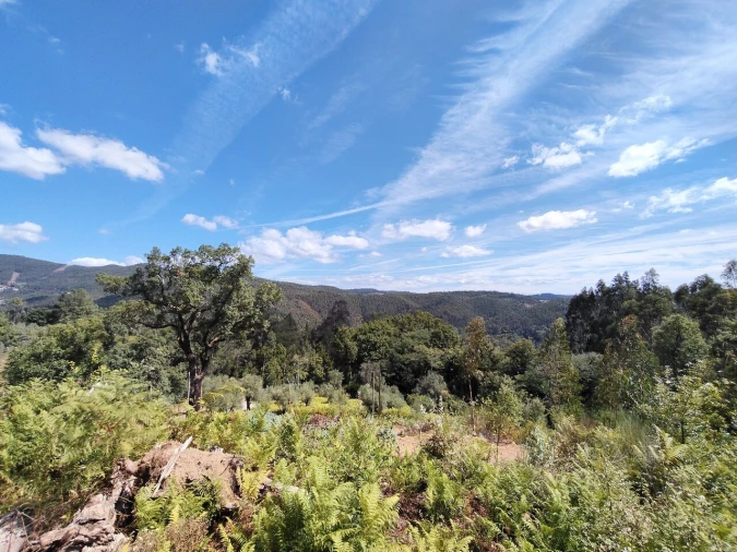 Terreno para Venda em Maçãs de D. Maria Foto 8