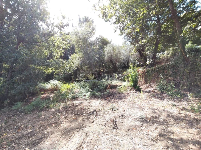 Terreno para Venda em Maçãs de D. Maria Foto 11