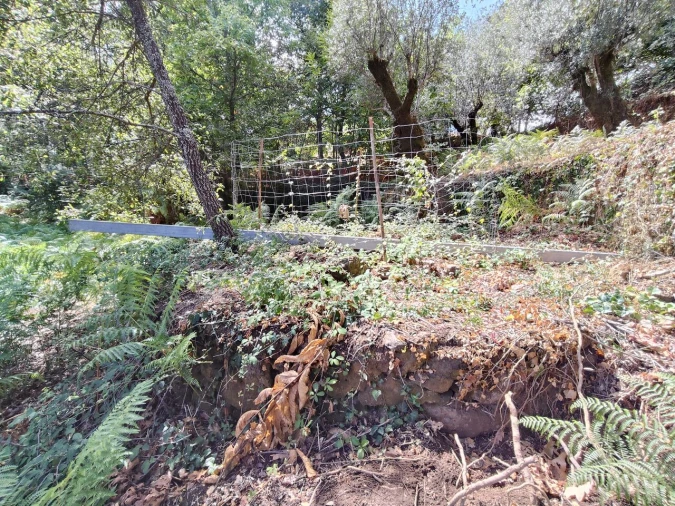 Terreno para Venda em Maçãs de D. Maria Foto 13