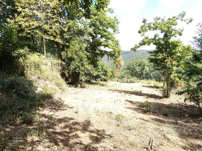 Terreno para Venda em Maçãs de D. Maria Foto 14