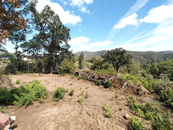 Terreno para Venda em Maçãs de D. Maria Foto 17