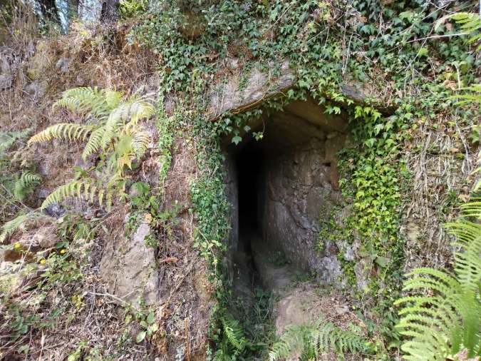 Terreno para Venda em Maçãs de D. Maria Foto 19