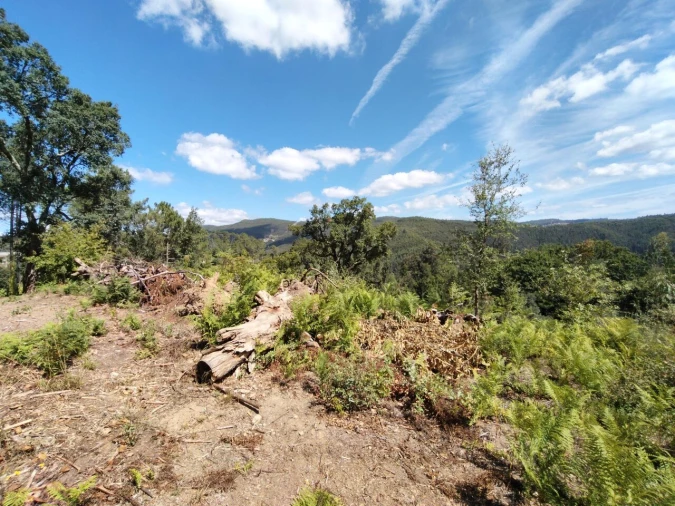 Terreno para Venda em Maçãs de D. Maria Foto 21