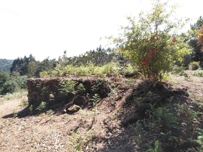 Terreno para Venda em Maçãs de D. Maria Foto 22