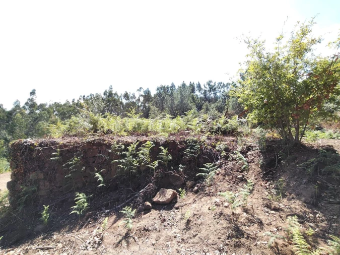 Terreno para Venda em Maçãs de D. Maria Foto 23