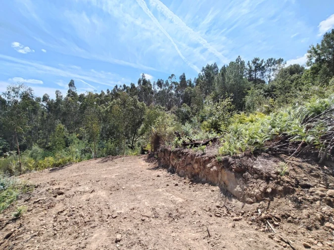 Terreno para Venda em Maçãs de D. Maria Foto 25