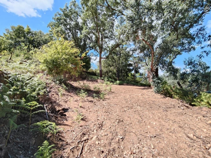 Terreno para Venda em Maçãs de D. Maria Foto 33