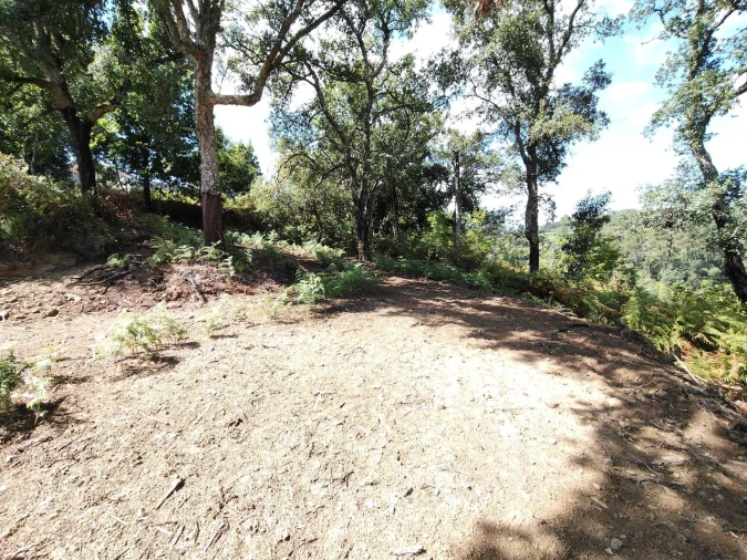 Terreno para Venda em Maçãs de D. Maria Foto 36