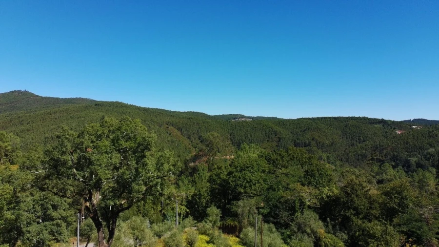 Terreno para Venda em Maçãs de D. Maria Foto 37