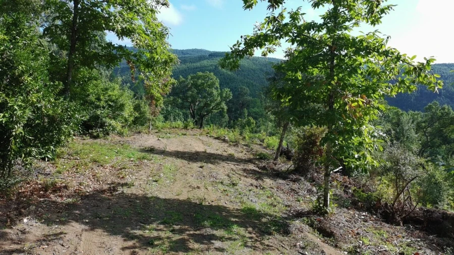 Terreno para Venda em Maçãs de D. Maria Foto 38