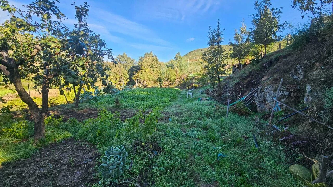 Moradia T3 para Venda em Vela Foto 18