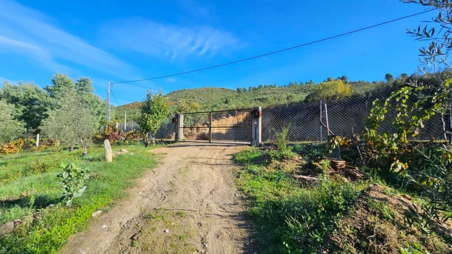 Moradia T3 para Venda em Vela Foto 12