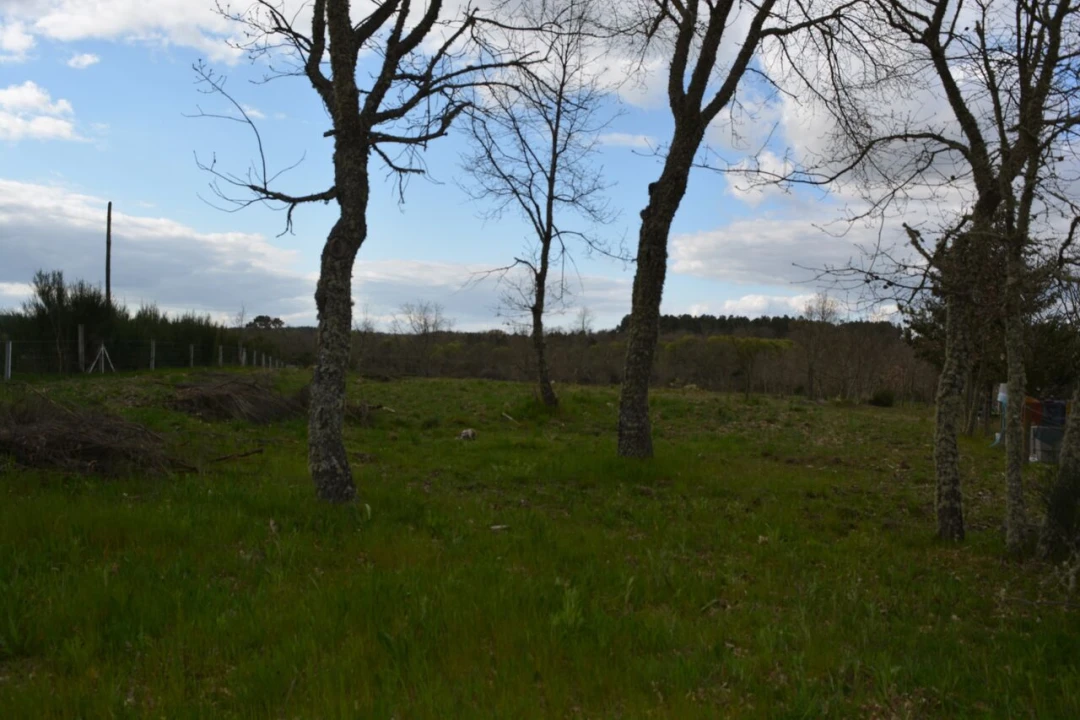 Terreno para Venda em Vila Garcia Foto 3