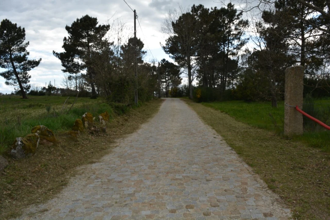 Terreno para Venda em Vila Garcia Foto 4