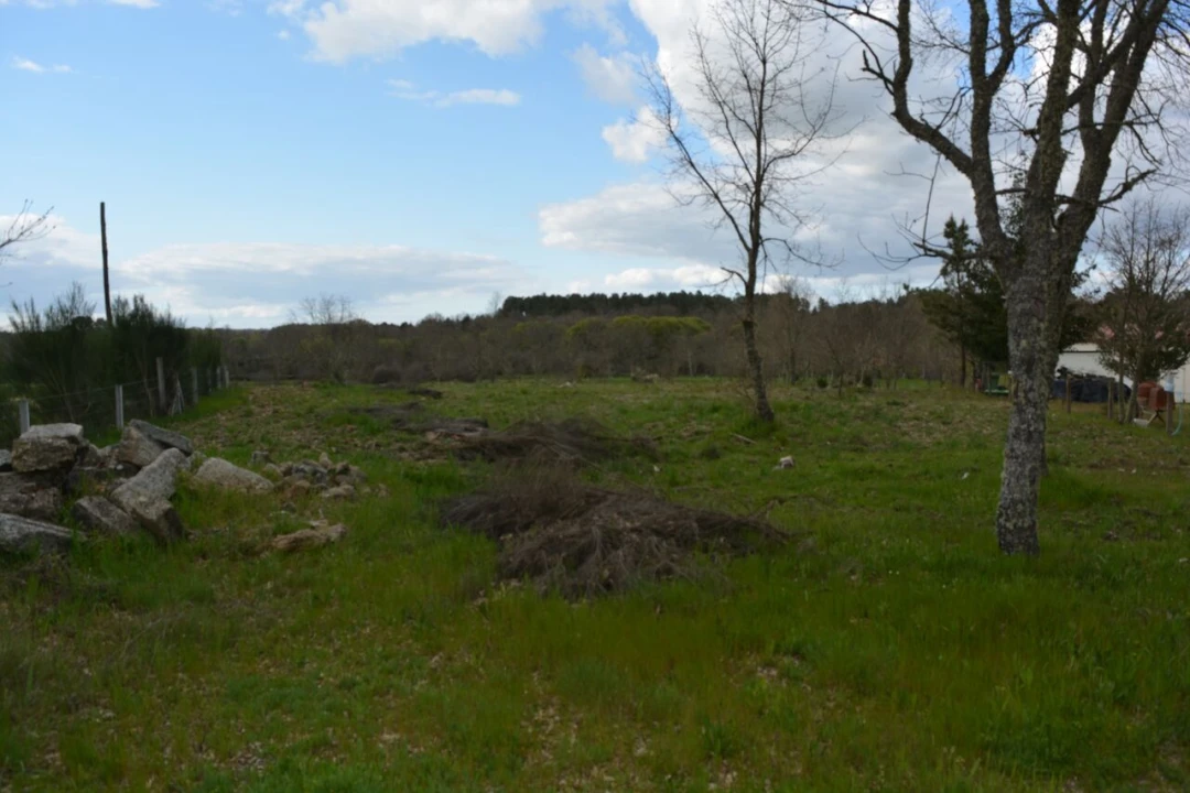 Terreno para Venda em Vila Garcia Foto 5