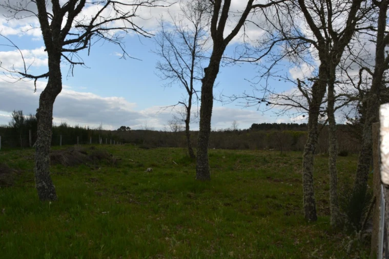 Terreno para Venda em Vila Garcia Foto 7